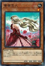 画像: 【ノーマル】薔薇恋人