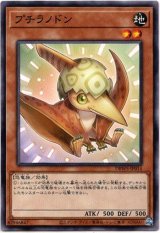 画像: 【ノーマル】プチラノドン