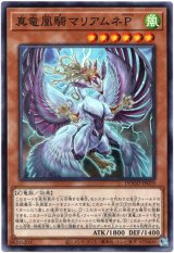 画像: 【ノーマル】真竜凰騎マリアムネP