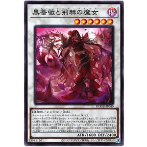 画像: 【スーパー】黒薔薇と荊棘の魔女