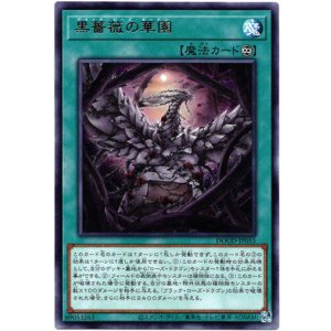 画像: 【レア】黒薔薇の華園