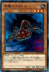 画像: 【ノーマル】赤蟻アスカトル