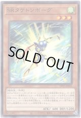 画像: 【ノーマル】SRタケトンボーグ