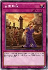 画像: 【ノーマル】自由解放