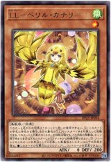 画像: 【レア】LL－ベリル・カナリー