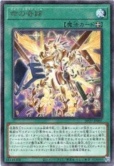 画像: 【レア】命の奇跡