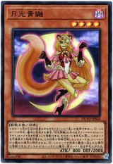 画像: 【ウルトラ】月光黄鼬