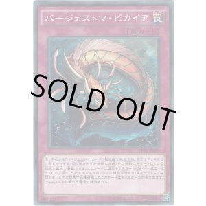 画像: 【ノーマル】バージェストマ・ピカイア