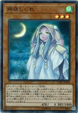 画像: 【スーパー】朔夜しぐれ