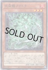 画像: 【ノーマル】天盃龍ファドラ