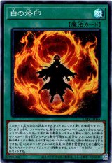 画像: 【スーパー】白の烙印