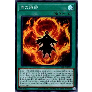 画像: 【スーパー】白の烙印