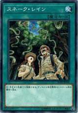 画像: 【ノーマル】スネーク・レイン