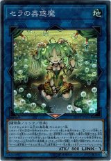 画像: 【スーパー】セラの蟲惑魔　
