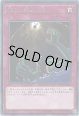 画像: 【レア】底なし落とし穴