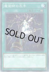 画像: 【ノーマル】魔術師の左手