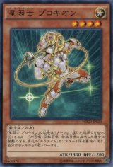 画像: 【ノーマル】星因士 プロキオン