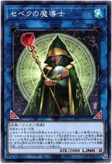 画像: 【ノーマル】セベクの魔導士