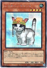 画像: 【シークレット】レスキューキャット