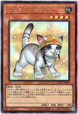 画像: 【シークレット】レスキューキャット(新)