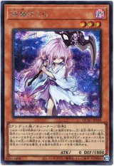 画像: 【シークレット】浮幽さくら