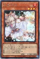 画像: 【シークレット】灰流うらら