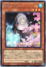 画像: 【シークレット】儚無みずき(新)