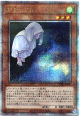 画像: 【25thシク】朔夜しぐれ(新)