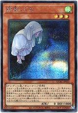 画像: 【シークレット】朔夜しぐれ(新)