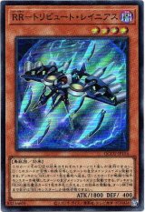 画像: 【スーパー】RR－トリビュート・レイニアス