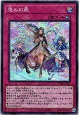 画像: 【スーパー】恵みの風