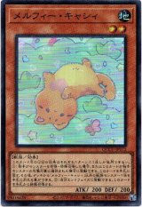 画像: 【スーパー】メルフィー・キャシィ