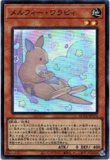 画像: 【スーパー】メルフィー・ワラビィ