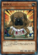 画像: 【ノーマル】横綱犬