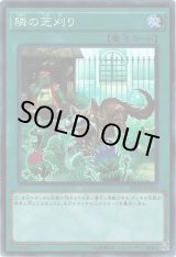 画像: 【スーパー】隣の芝刈り