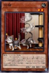 画像: 【ノーマル】回猫