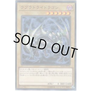 画像: 【ノーマル】ラブラドライドラゴン