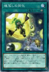 画像: 【ノーマル】魂写しの同化