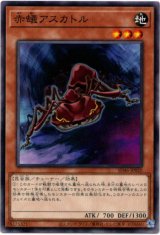 画像: 【ノーマル】赤蟻アスカトル