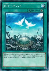 画像: 【ノーマル】RR－ネスト