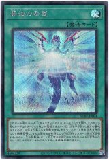 画像: 【シークレット】最後の希望