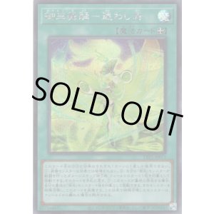 画像: 【シークレット】御巫舞踊－迷わし鳥