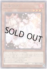 画像: 【レア】灰流うらら