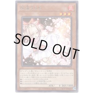 画像: 【レア】灰流うらら