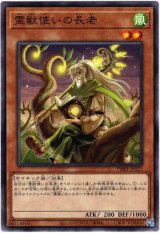 画像: 【ノーマル】霊獣使いの長老