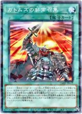 画像: 【ノーマルパラレル】ガトムズの非常召集