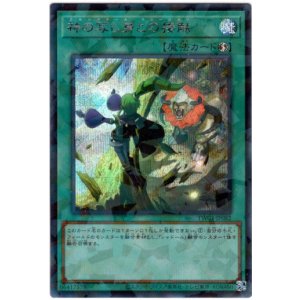 画像: 【シークレットパラレル】神の写し身との接触