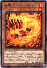 画像: 【レア】飛龍炎サラマンドラ