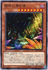 画像: 【ノーマル】密林に潜む者