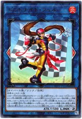 画像: 【レア】ピットナイト・フィル